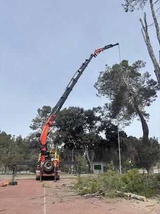 Gruas Lomar Horche S.L.