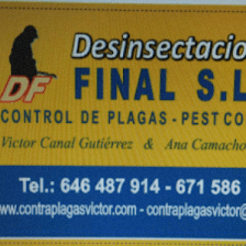 Desinsectaciones Final