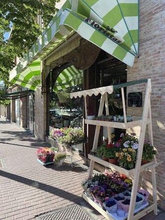 Malpica Floristas