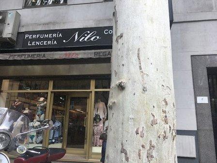 Perfumería, Lencería y Confecciones Nilo