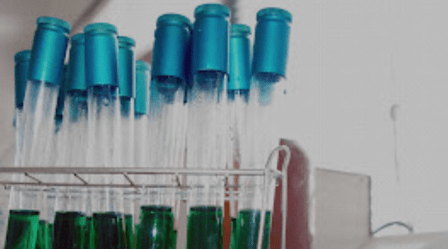 Nelsan Food S.L. Food Analysis Laboratory