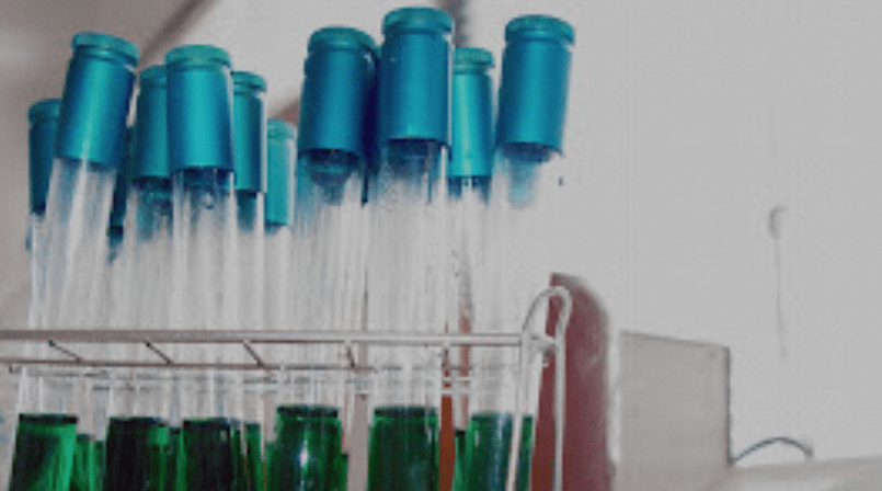 Nelsan Food S.L. Food Analysis Laboratory