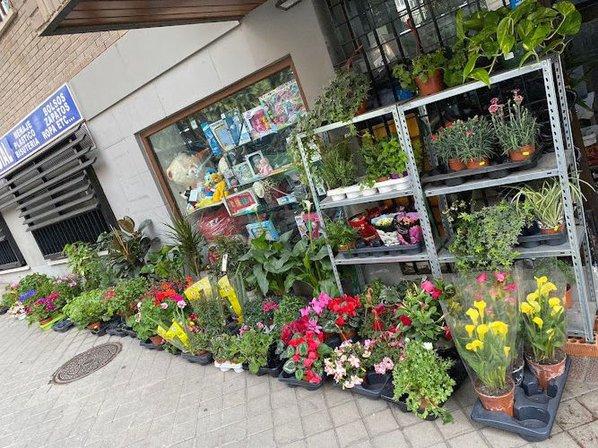 Bazar Mundial