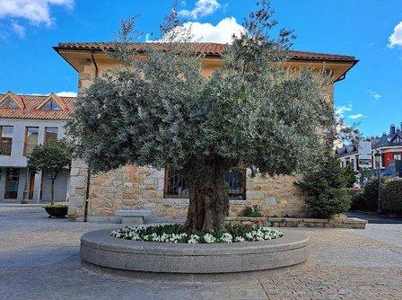 torrelodones