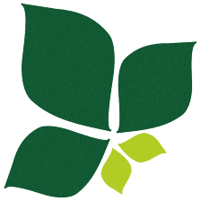 Sativa´s Consulting Abogados