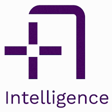 Accumin Intelligence