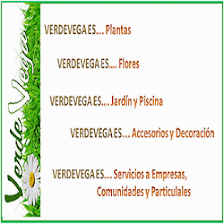 VERDEVEGA - Floristeria y Jardin