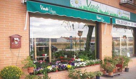VERDEVEGA - Floristeria y Jardin