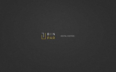 BINPAR TEAM S.L