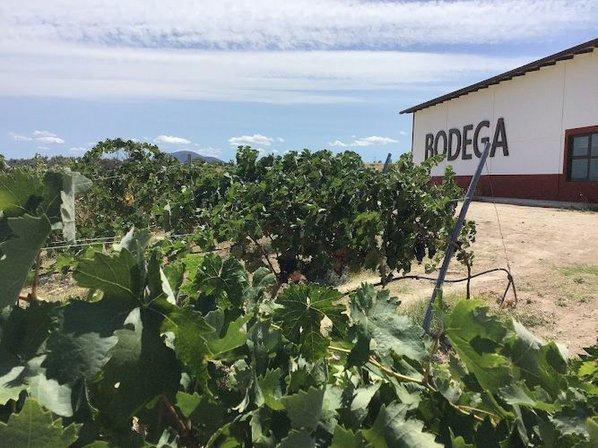 Bodegas Torrealbilla SL
