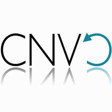 CNV Centro de Negocios Villafranca