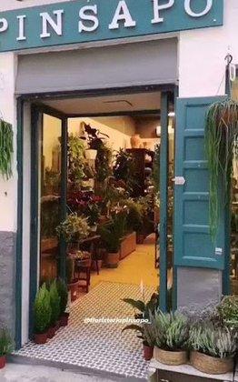 Floristería Pinsapo Chamberí