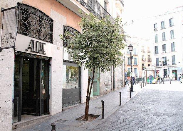 Alohe Óptica Malasaña