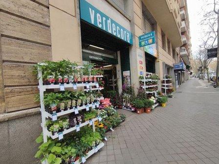 Verdecora