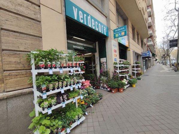 Verdecora