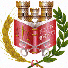 Administrador Fincas Arganda, Optimiza Fincas
