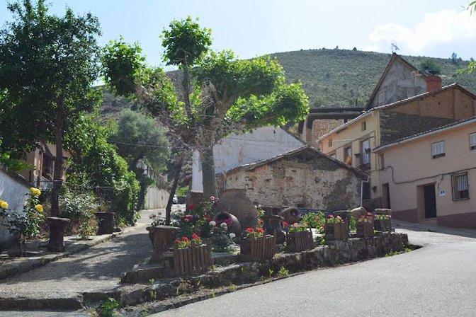Valdesotos