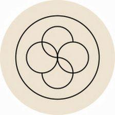 The Singular Space