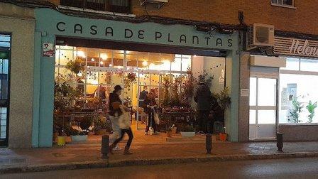 La Bonita Casa de Plantas