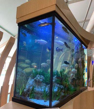 GLOBAL ACUARIO S.L.