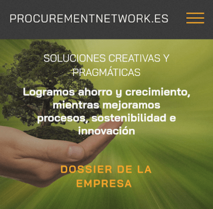 PROCUREMENTNETWORK.ES