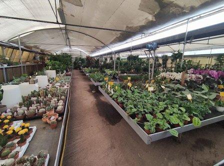 NURSERY Silvosa HNOS.