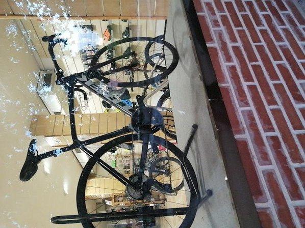 Bunny bike shop