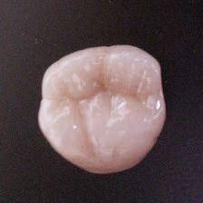 Laboratorio De Prótesis Dental Carlos J. Toral López
