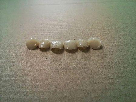 Laboratorio De Prótesis Dental Carlos J. Toral López