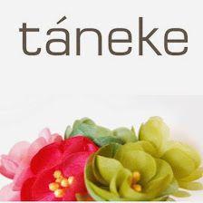 Táneke -CITA PREVIA-