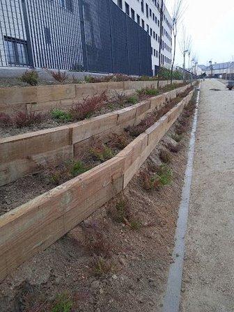 Semar Proyectos Y Medio Ambiente S L