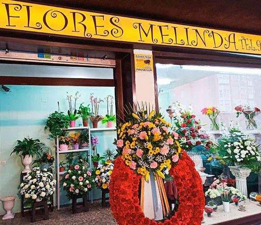 Flores Melinda