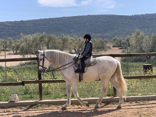 Finca el Toril