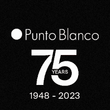 Punto Blanco Toledo