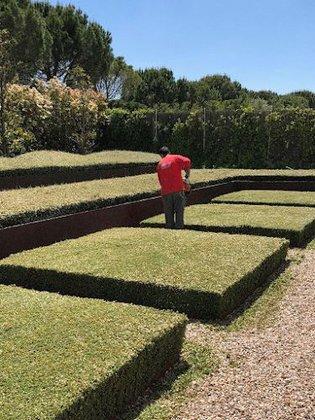 Jardinero Alberto - Jardinería y Mantenimiento Profesional