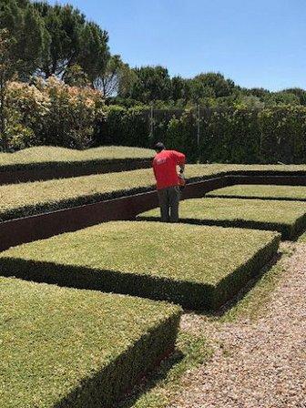 Jardinero Alberto - Jardinería y Mantenimiento Profesional