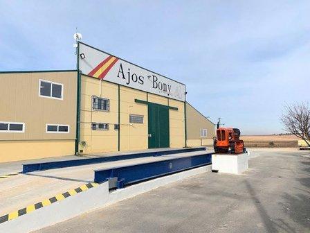 Ajos Bony