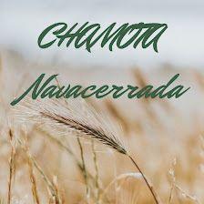 Chamota