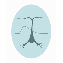 Centro enfermedades y especialidades neurologicas Dr Molina Arjona