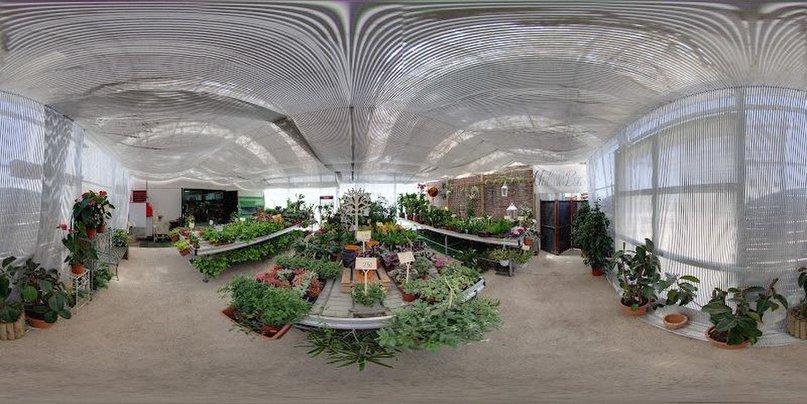 Aragón Garden Center - Nursery in Rivas Vaciamadrid