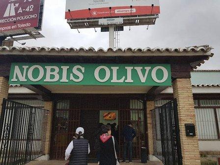 NOVIS OLIVO