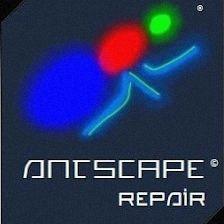 ANTSCAPE repair
