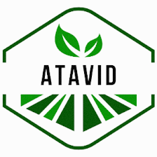 Atavid