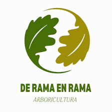 DE RAMA EN RAMA