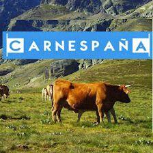 Carnicería Carnespaña, carnes de calidad, pedidos online