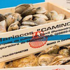 Mariscos Camino - Comprar Marisco en Madrid