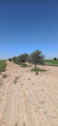 Campo La Guardia