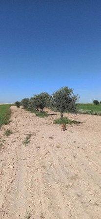 Campo La Guardia