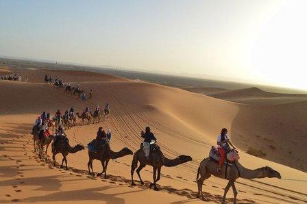 Prestige Visa & Travel Agency