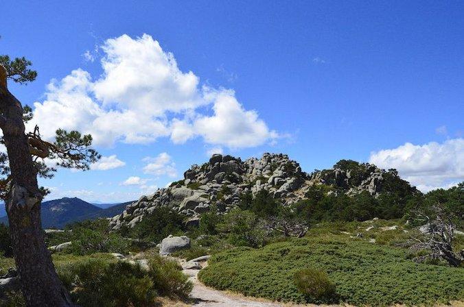 Pico Majalasna